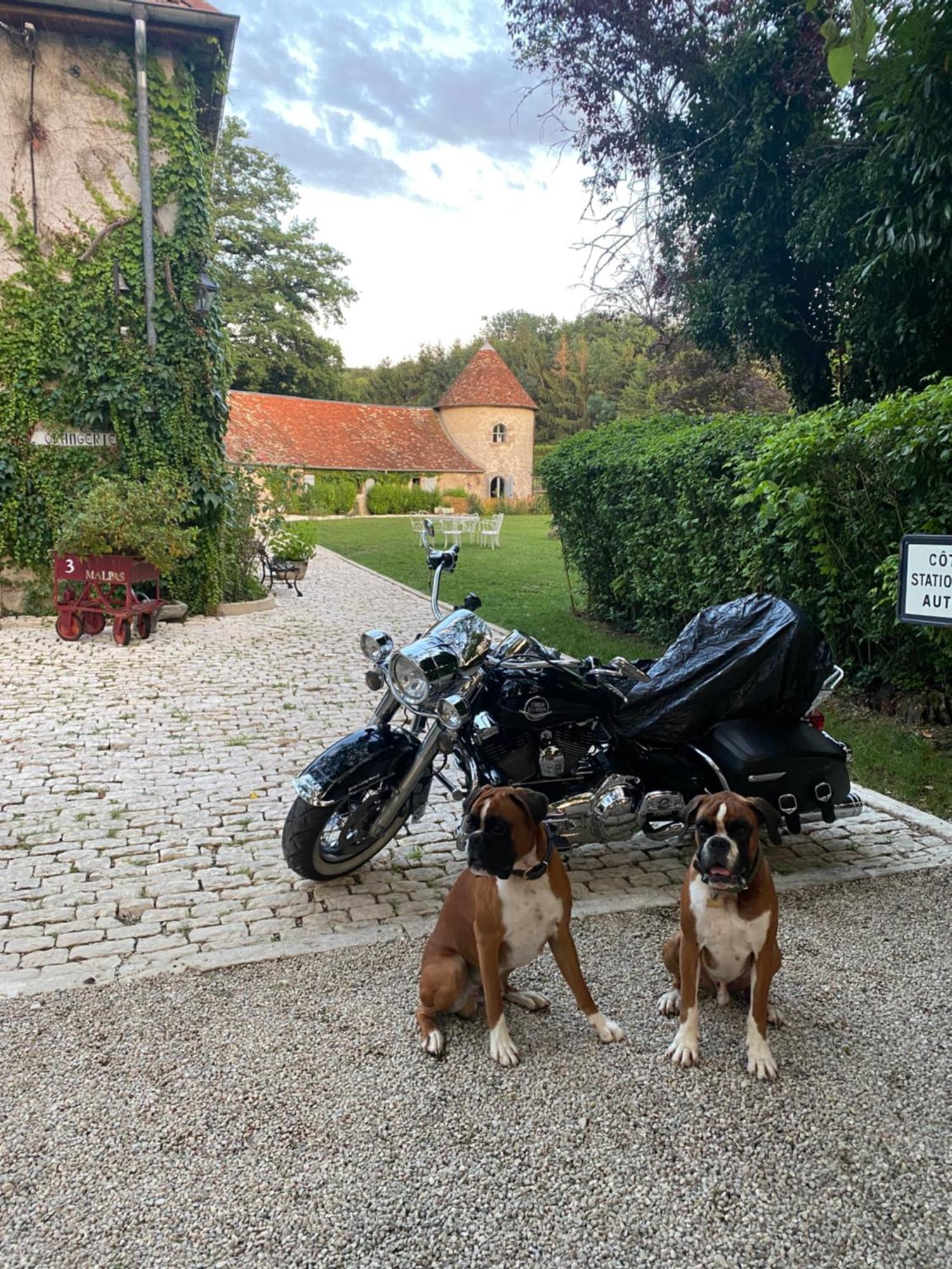 Le Colombier De Malpas Bed & Breakfast Quingey Dış mekan fotoğraf